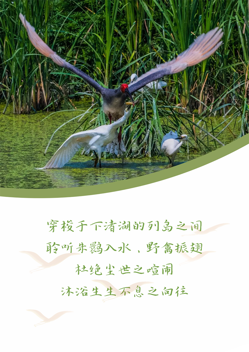 心心念廿 相伴AG公司 | 与德清相约 贺廿载诞辰