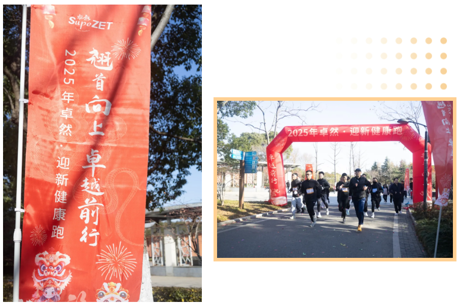回望2024 启航2025 | AG公司股份2025年度战略年会顺利召开